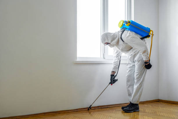 Best Wasp Removal Services  in Manhattan Beach, CA
